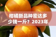 柑橘新品種密達(dá)多少錢(qián)一斤?2023年市場(chǎng)行情與產(chǎn)地價(jià)格深度解析 柑橘新品種密達(dá)多少錢(qián)一斤?2023年市場(chǎng)行情與產(chǎn)地價(jià)格深度解析
